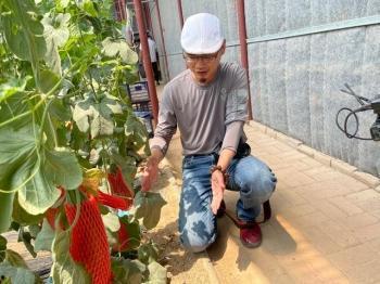 网红打卡地学校吃瓜,网红打卡地校园美食风云录