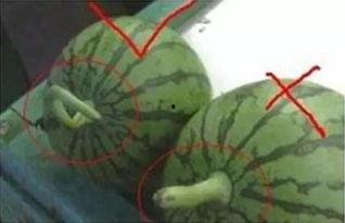 一起看吃瓜网,一起看吃瓜网带你领略明星幕后故事