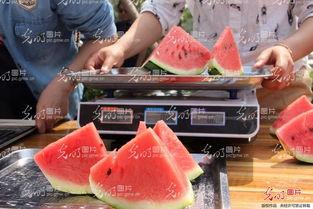 山东网红团队吃瓜事件,揭秘网络舆论风波背后的真相